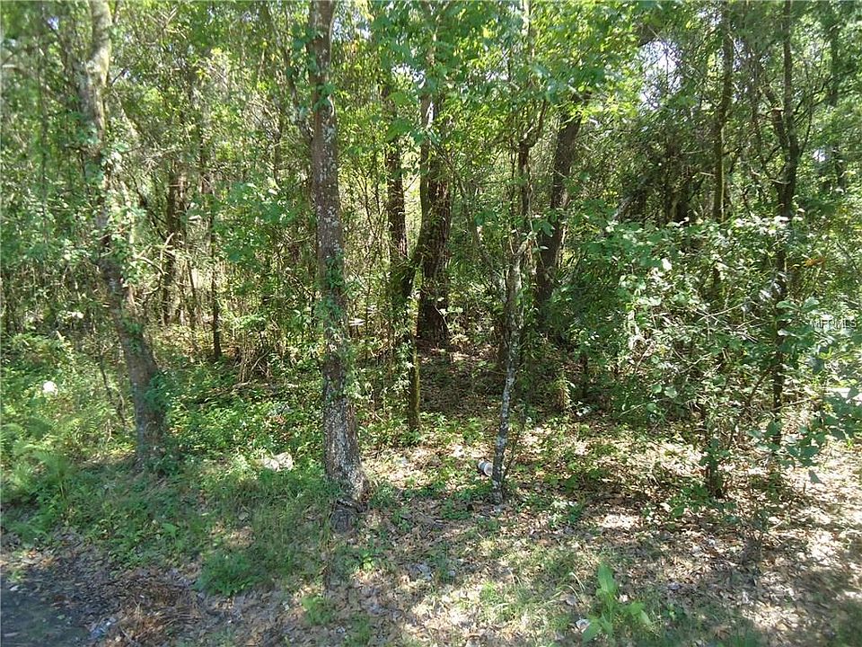 2nd image of Galloway Rd N