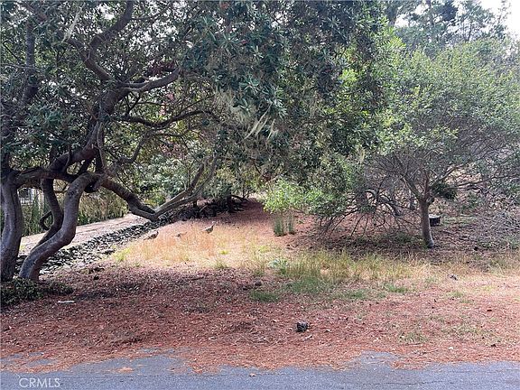 3rd image of 1280 Warren Rd #21