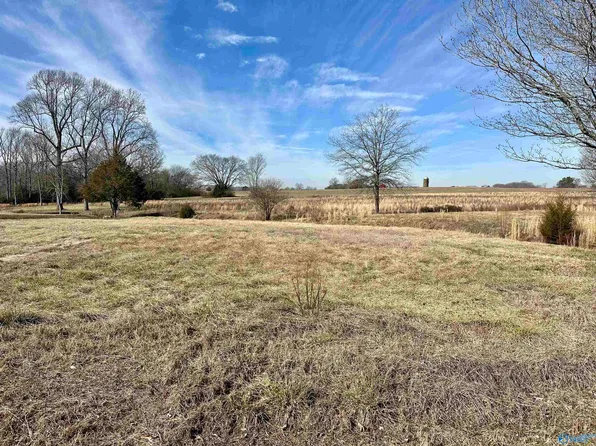 1 Nelson Rd, Elkmont, AL 35620