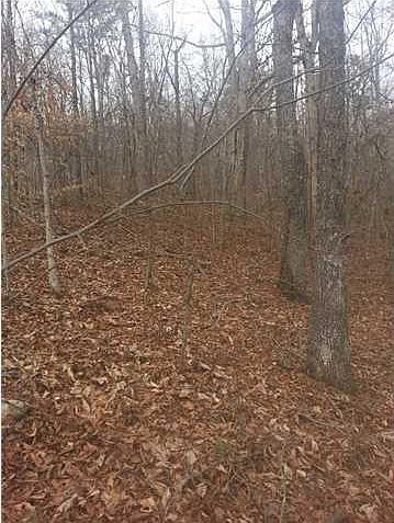 2nd image of 10449 Mullins Cove Rd #14
