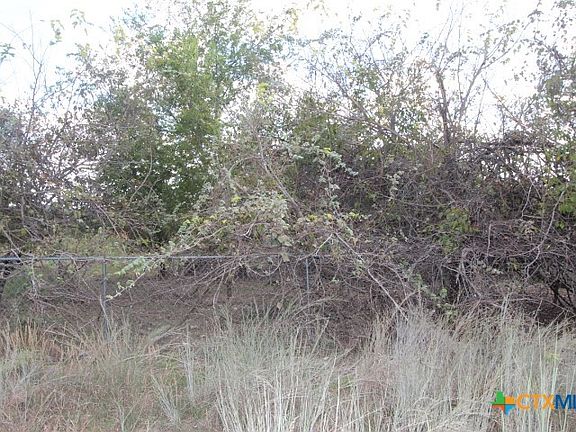5th image of 923 Blue Stem Dr