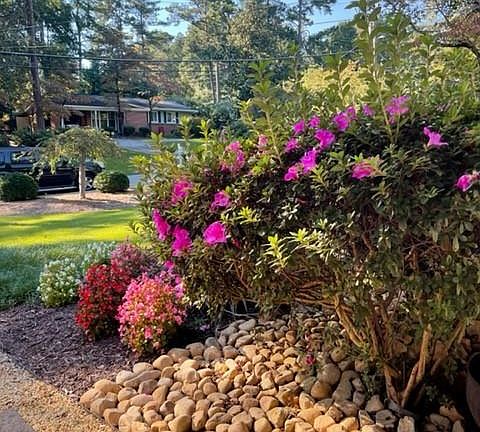 Spring time at Sexton Woods.