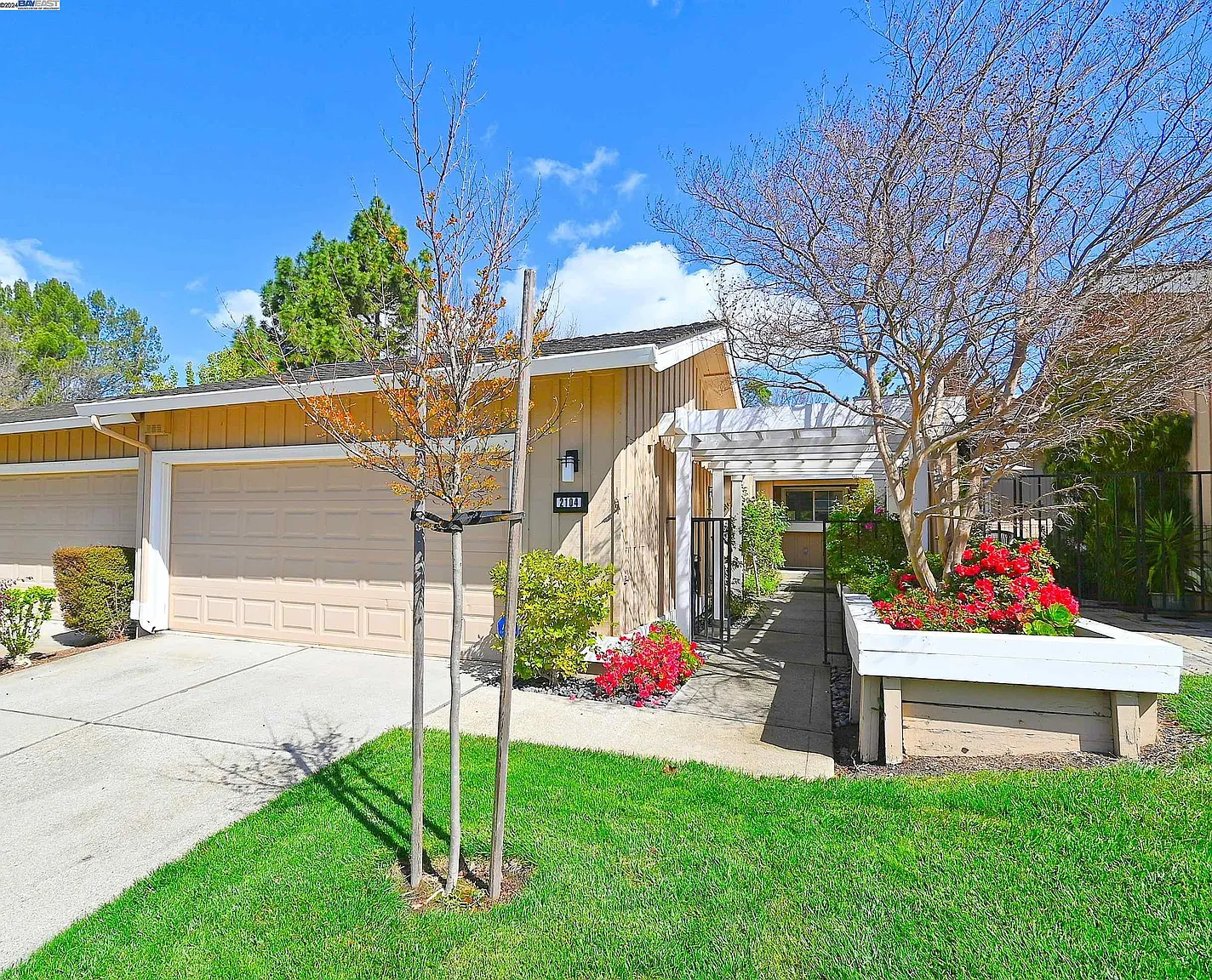 2104 Myrtle Beach Ln photo 1