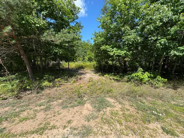 S Daisys Way, Kinross, MI 49752