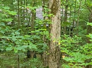 181 Mull Dr, Mineral Bluff, GA 30559