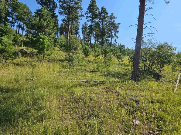 Last Chance Trl, Deadwood, SD 57732