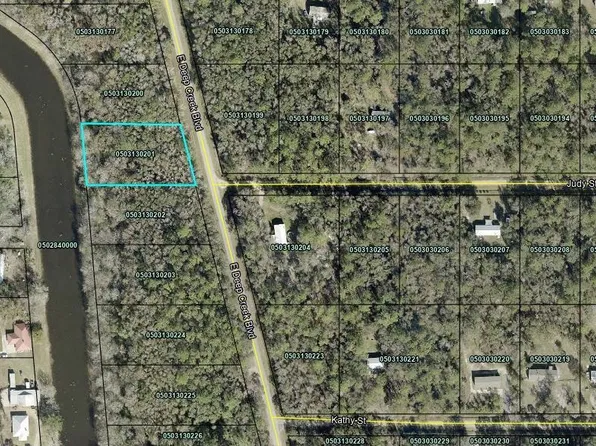 9865 E Deep Creek Blvd, Hastings, FL 32145