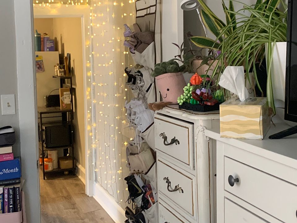 hallway into bedroom/living room