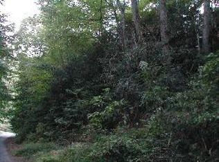 121 Banjo Ridge Rd #NA, Butler, TN 37640