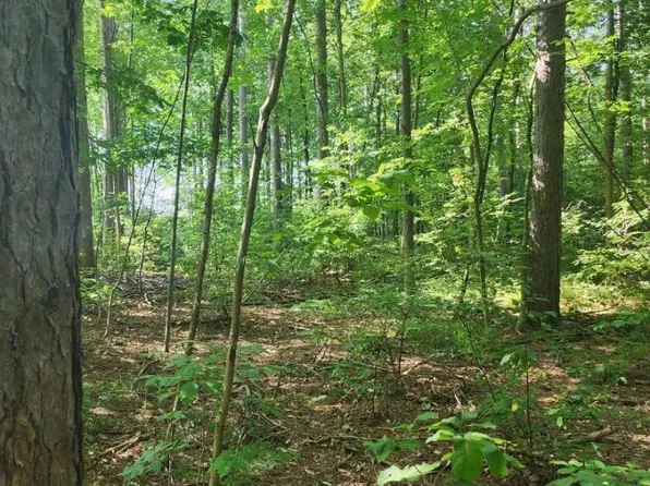 Lot 3 & 4 RANCH ROAD, Ringle, WI 54471