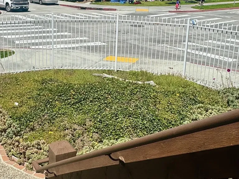 8151 Camino Del Oro — Photo 2