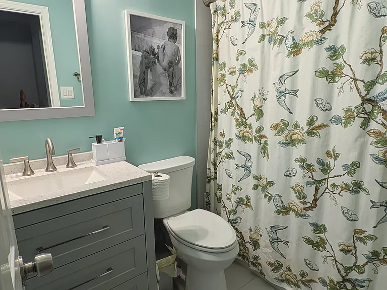 Hall full bathroom