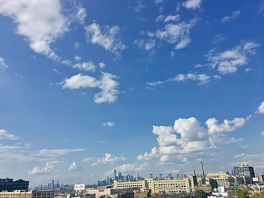 Rented by Brooklyn Properties | media 3