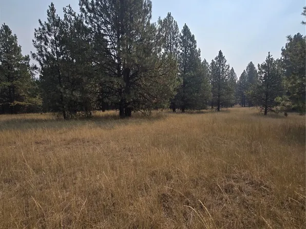 0 TBD Turner Lake Road, Tonasket, WA 98855