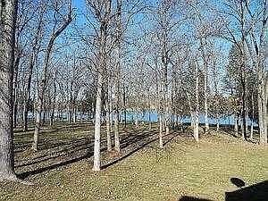 View from Deck of Lake