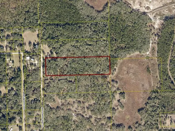 NW Gar Pond Ct, White Springs, FL 32096