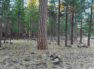 0 Magnolia Way, Susanville, CA 96130