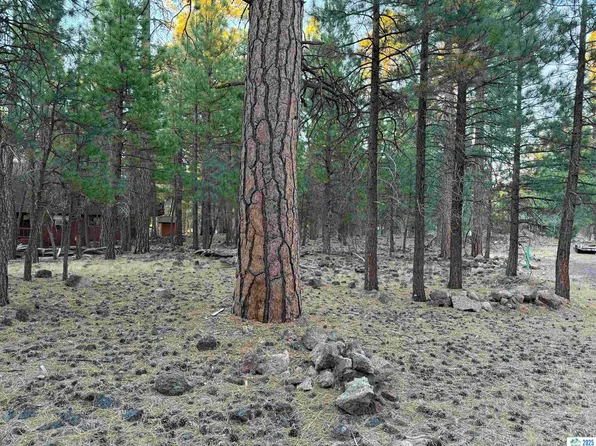 0 Magnolia Way, Susanville, CA 96130