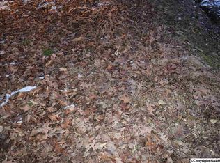 28733 Leggtown Rd, Lester, AL 35647