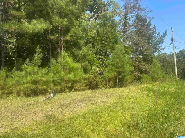 58 Todt Dr #1, Ohatchee, AL 36271