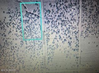 4344 Garibaldi Rd, Snowflake, AZ 85937
