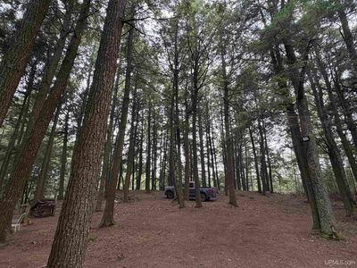 Tbd Little Harbor Rd, Manistique, MI, 49854