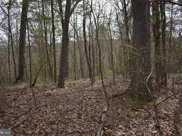 Beech Rd, Mount Jackson, VA 22842