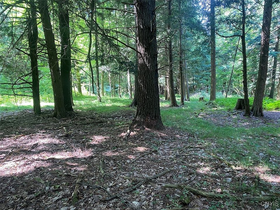 1st image of State Route 244 Ward