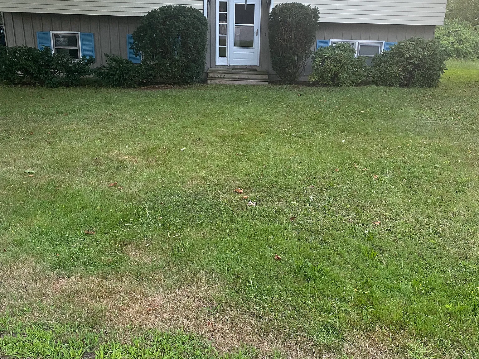 3 bed, 2612 sqft, $2,650 — Photo 4