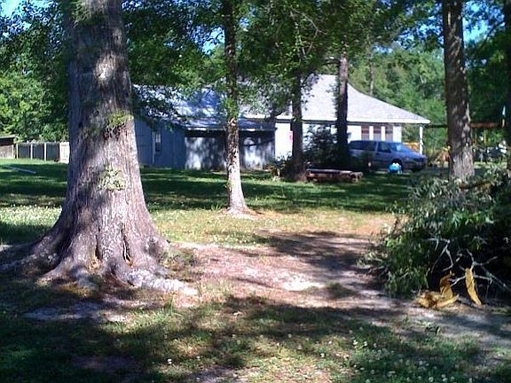 From SE corner of property