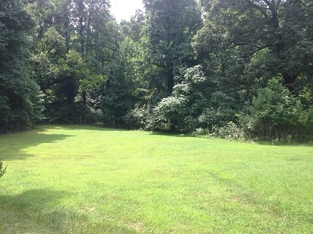 1664 Pleasant Ridge Rd — Photo 29