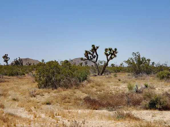 Vicinity Ave #U, Llano, CA 93544