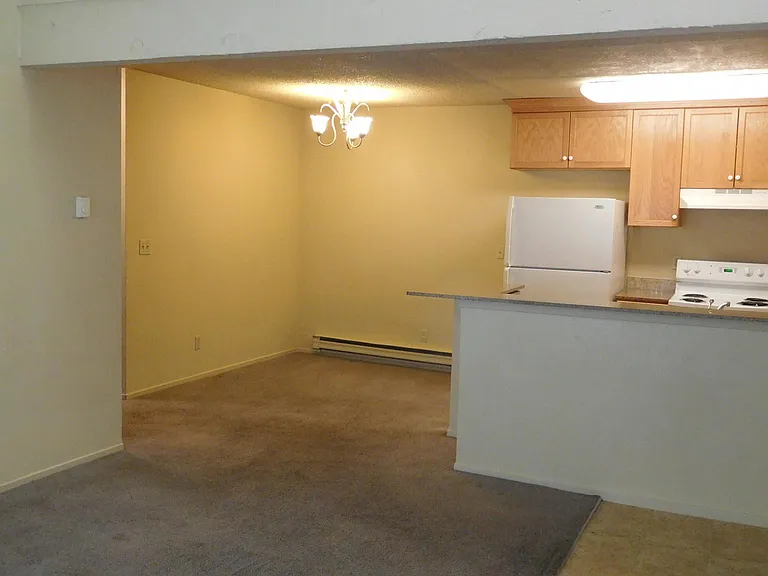 1333 N Camino Alto Rd — Photo 16