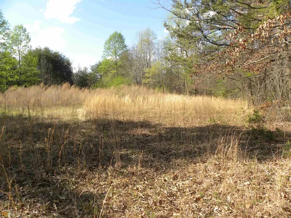 0 Dibbuns Dr, Toccoa, GA 30577