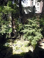 Rented by Citi Habitats