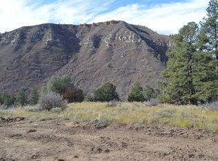 161 Wild Chives Ct, Durango, CO 81301