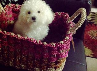 316 Ardsley Pl, Norcross, GA 30093