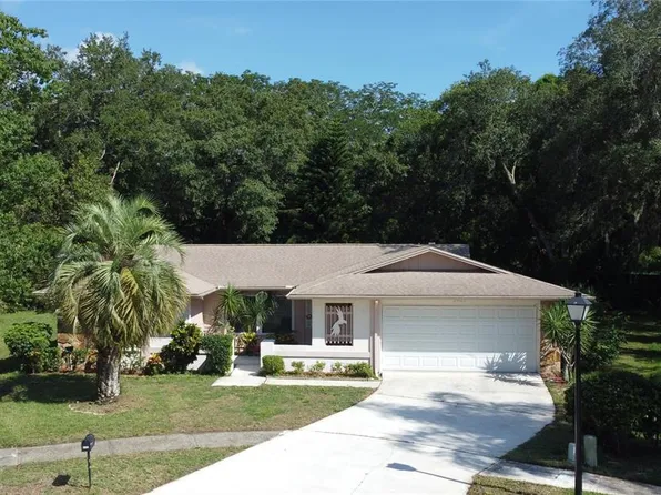 3405 Dove Hollow Ct, Palm Harbor, FL 34683