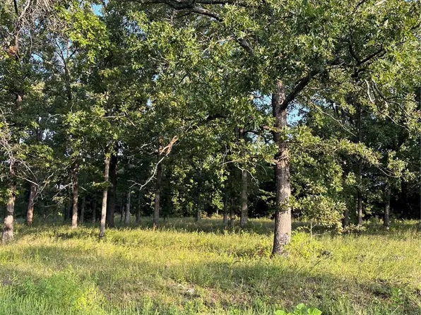 1 State Highway 49, Viburnum, MO 65566