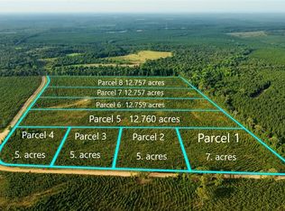 PARCEL 1 Whipporwill Rd, Reynolds, GA 31076