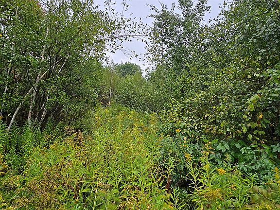 4th image of 0 Anderson Lane