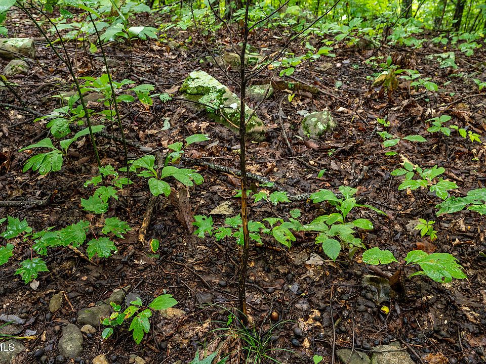 85th image of this home