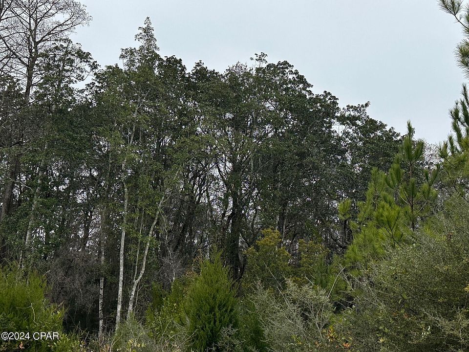 2nd image of TRACT 6418 Mattox Spring Rd