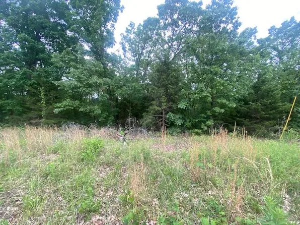 Lot 32 E Farm Road 30, Fair Grove, MO 65648