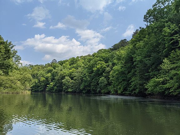 Sipsey River (property shoreline on right side)
