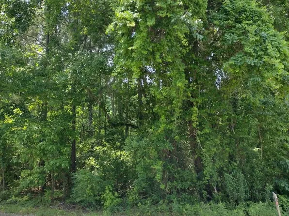 1188 Herod Dr, Manning, SC 29102