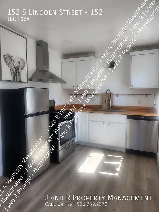 Roseville 1 bed — Photo 4