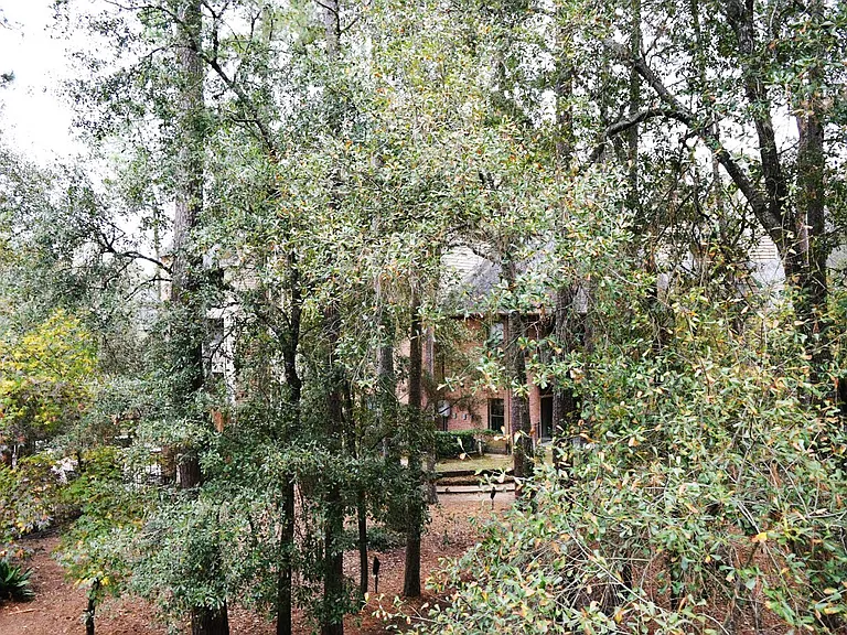 Chasewood — Photo 17