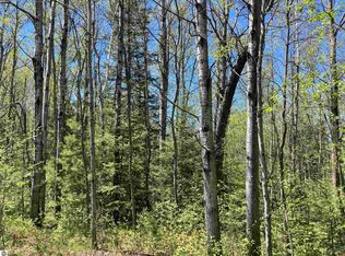0 W Miller Rd, Mio, MI 48647