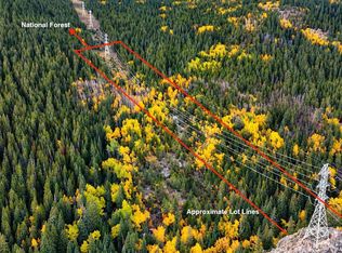 Ute Creek Rd, Idaho Springs, CO 80452